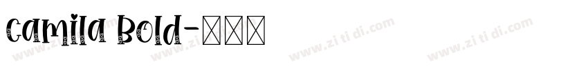 Camila Bold字体转换